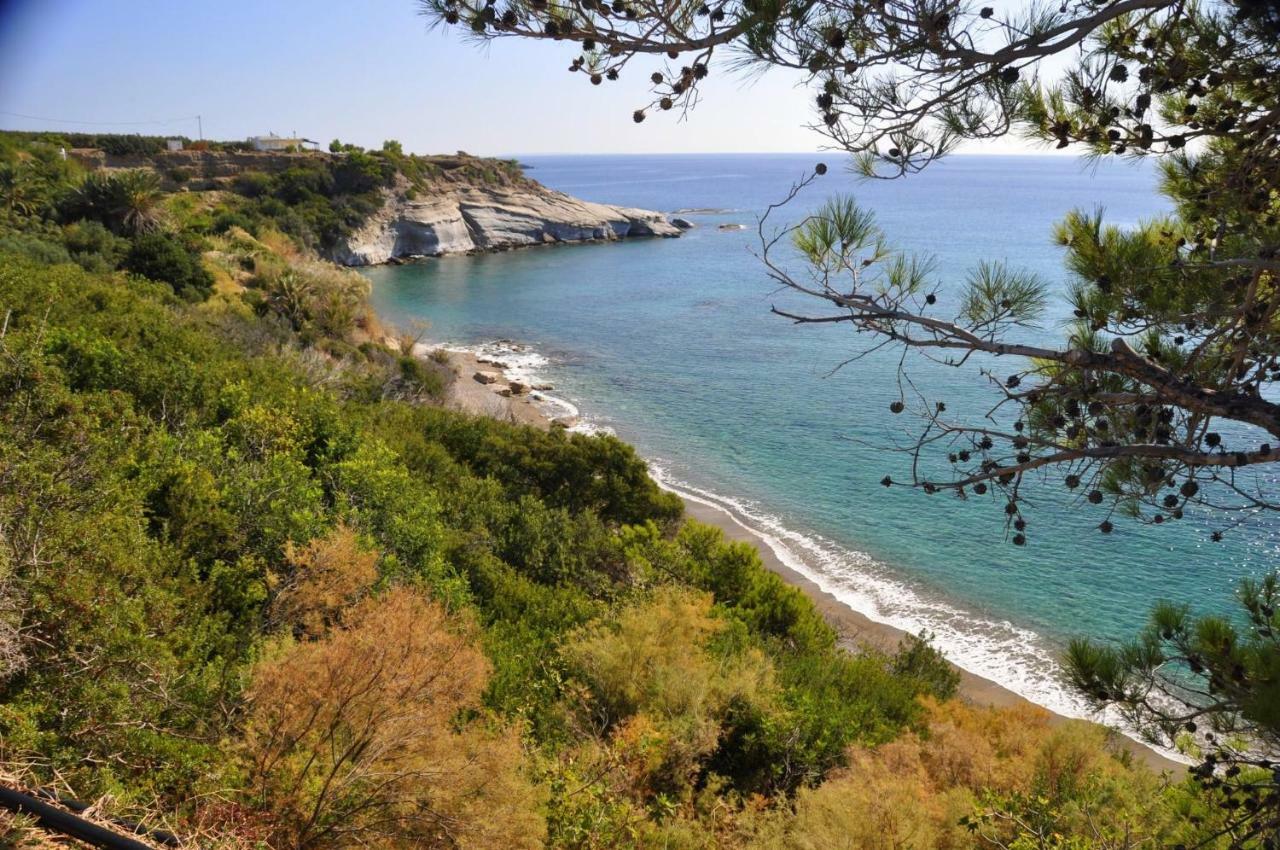 Villa Kalliopi Koutsounari Exteriér fotografie