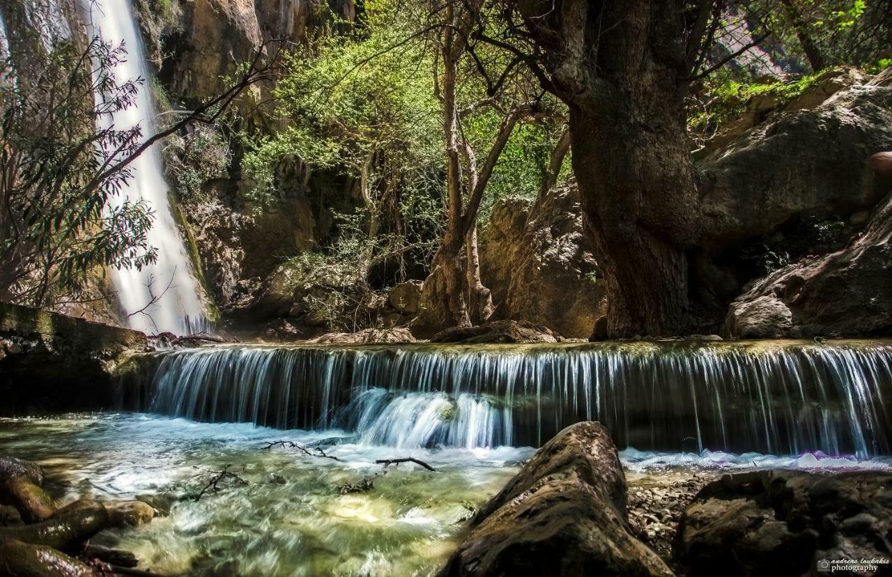 Villa Kalliopi Koutsounari Exteriér fotografie