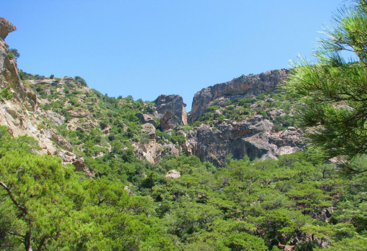 Villa Kalliopi Koutsounari Exteriér fotografie