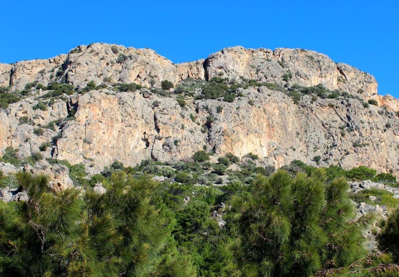 Villa Kalliopi Koutsounari Exteriér fotografie